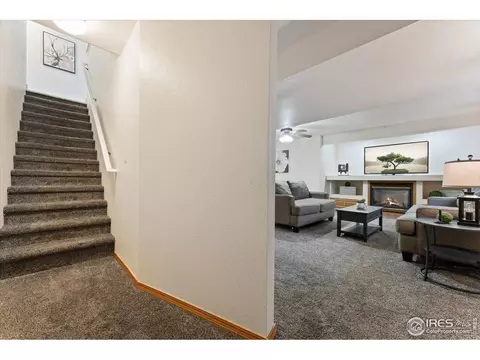 534 Springwood Ct, Windsor, CO 80550 photo 23