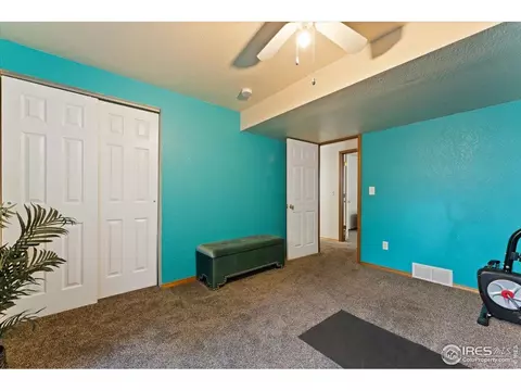534 Springwood Ct, Windsor, CO 80550 photo 35