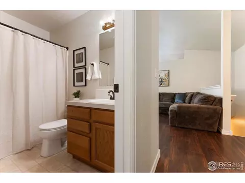 534 Springwood Ct, Windsor, CO 80550 photo 21