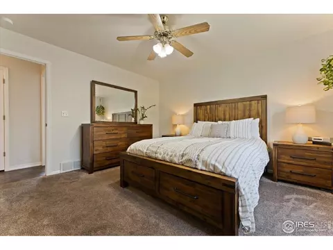 534 Springwood Ct, Windsor, CO 80550 photo 14