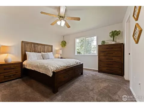 534 Springwood Ct, Windsor, CO 80550 photo 13