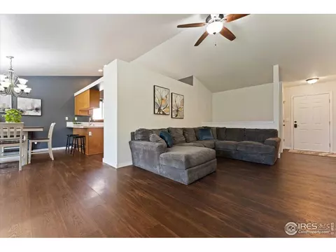534 Springwood Ct, Windsor, CO 80550 photo 5