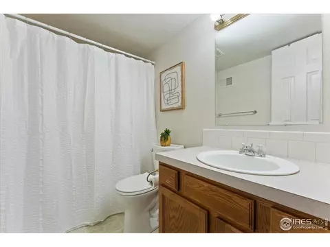534 Springwood Ct, Windsor, CO 80550 photo 31