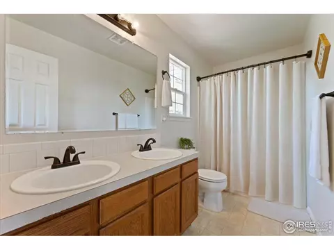 534 Springwood Ct, Windsor, CO 80550 photo 16