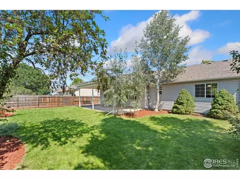 534 Springwood Ct, Windsor, CO 80550 photo 39