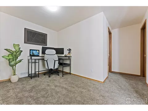 534 Springwood Ct, Windsor, CO 80550 photo 29