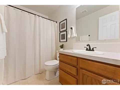 534 Springwood Ct, Windsor, CO 80550 photo 22