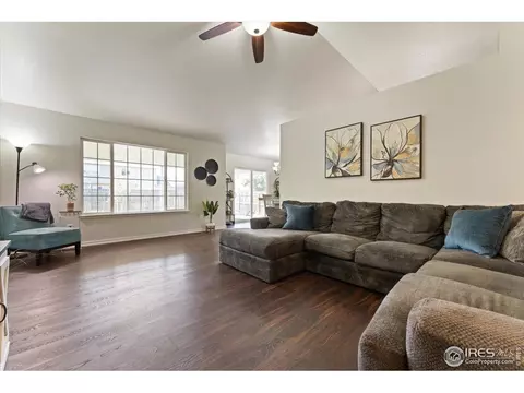 534 Springwood Ct, Windsor, CO 80550 photo 3