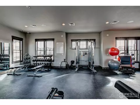 6226 Vernazza Way #4, Windsor, CO 80550 photo 23