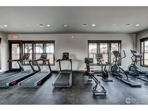 6226 Vernazza Way #4, Windsor, CO 80550 photo 22