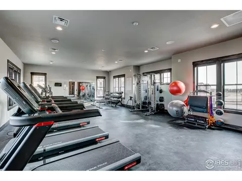 6226 Vernazza Way #4, Windsor, CO 80550 photo 24