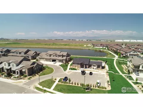 6226 Vernazza Way #4, Windsor, CO 80550 photo 30