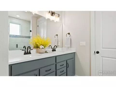 6226 Vernazza Way #4, Windsor, CO 80550 photo 13