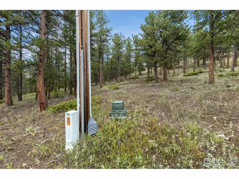 357 Big John Rd, Lyons, CO 80540 photo 10