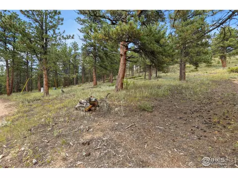 357 Big John Rd, Lyons, CO 80540 photo 11