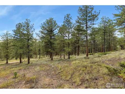 357 Big John Rd, Lyons, CO 80540 photo 12