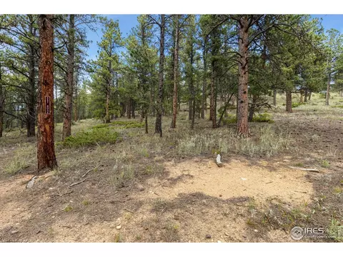 357 Big John Rd, Lyons, CO 80540 photo 13