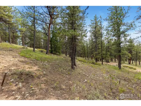 357 Big John Rd, Lyons, CO 80540 photo 9