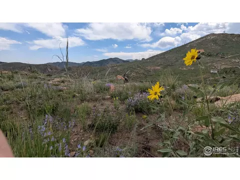 1324 Meadow Mountain Dr, Livermore, CO 80536