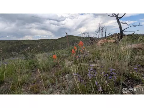 1324 Meadow Mountain Dr, Livermore, CO 80536