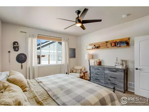 562 Ellingwood Pointe Dr, Severance, CO 80550 photo 10