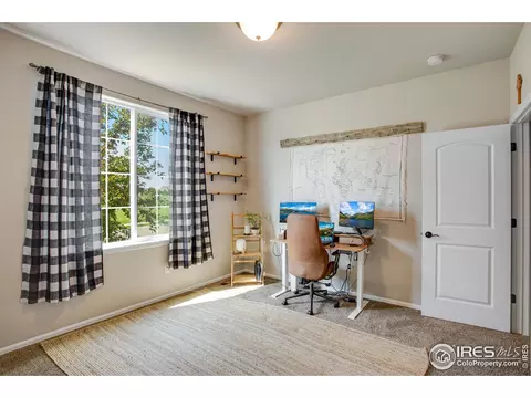 562 Ellingwood Pointe Dr, Severance, CO 80550 photo 13