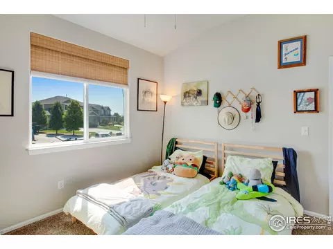 562 Ellingwood Pointe Dr, Severance, CO 80550 photo 16