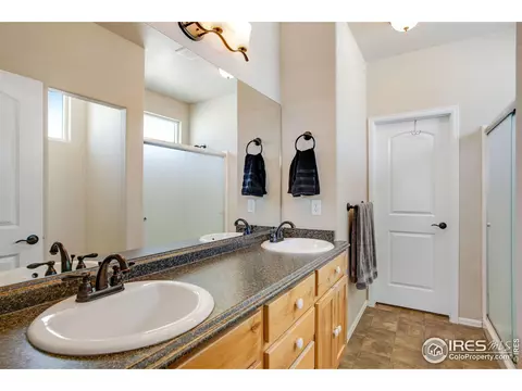 562 Ellingwood Pointe Dr, Severance, CO 80550 photo 12
