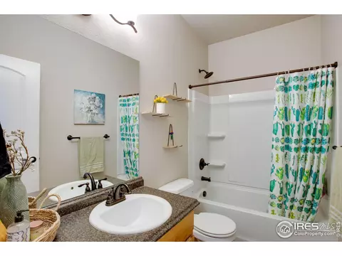 562 Ellingwood Pointe Dr, Severance, CO 80550 photo 15