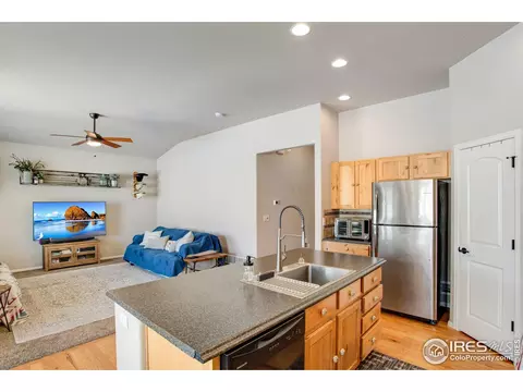 562 Ellingwood Pointe Dr, Severance, CO 80550 photo 4