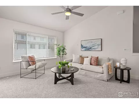 619 Rosedale St, Severance, CO 80550 photo 8