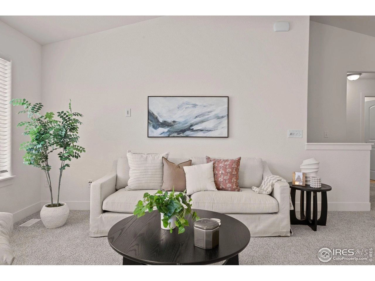 619 Rosedale St, Severance, CO 80550 photo 9