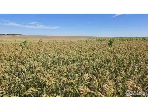 Undisclosed, Fleming, CO 80728 photo 12