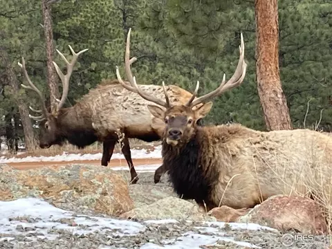 Other - 1960 Colard Ln, Lyons, CO 80540 photo 11 of 17