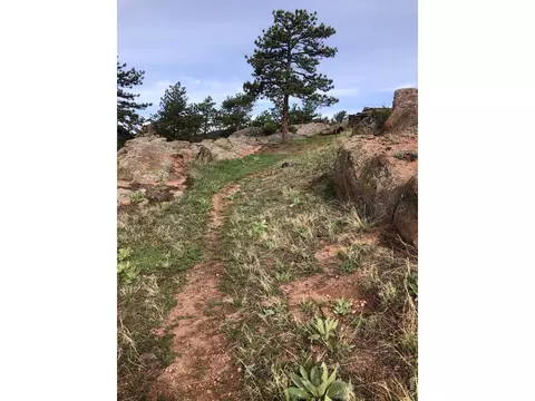 Other - 1960 Colard Ln, Lyons, CO 80540 photo 16 of 17