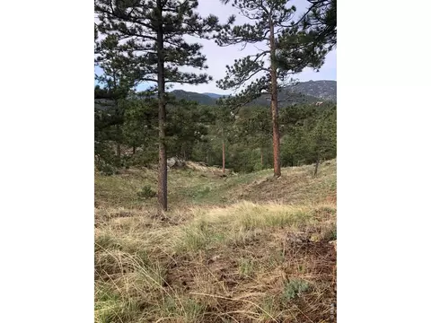 Other - 1960 Colard Ln, Lyons, CO 80540 photo 17 of 17