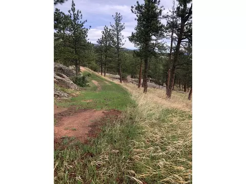 Other - 1960 Colard Ln, Lyons, CO 80540 photo 15 of 17