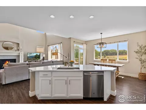 2289 Stonefish Dr, Windsor, CO 80550 photo 4