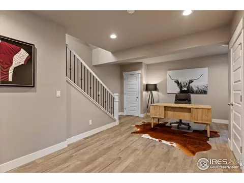 2289 Stonefish Dr, Windsor, CO 80550 photo 27