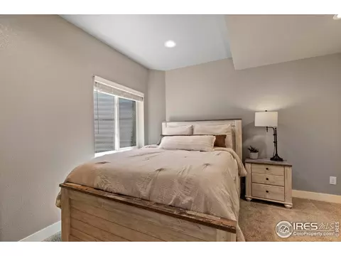 2289 Stonefish Dr, Windsor, CO 80550 photo 28