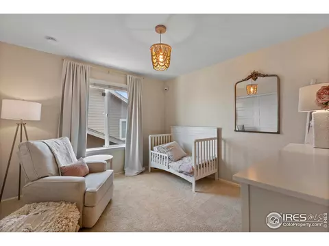 2289 Stonefish Dr, Windsor, CO 80550 photo 21