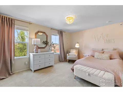 2289 Stonefish Dr, Windsor, CO 80550 photo 20