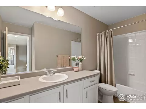 2289 Stonefish Dr, Windsor, CO 80550 photo 22