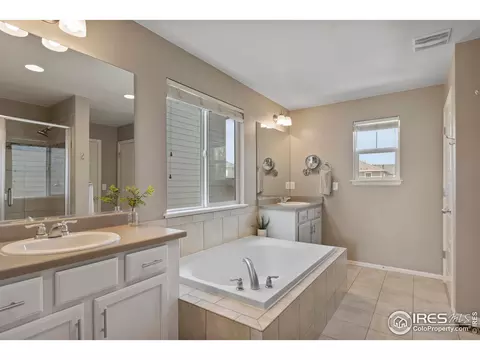 2289 Stonefish Dr, Windsor, CO 80550 photo 17