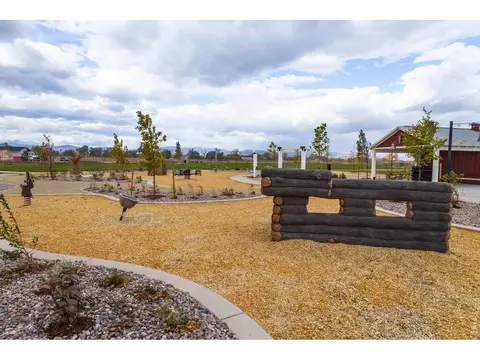 Exterior - 6071 Red Barn Rd, Timnath, CO 80547 photo 7 of 8