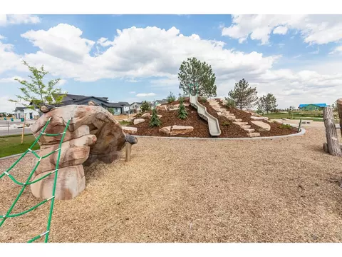 View/Area - 6071 Red Barn Rd, Timnath, CO 80547 photo 3 of 3