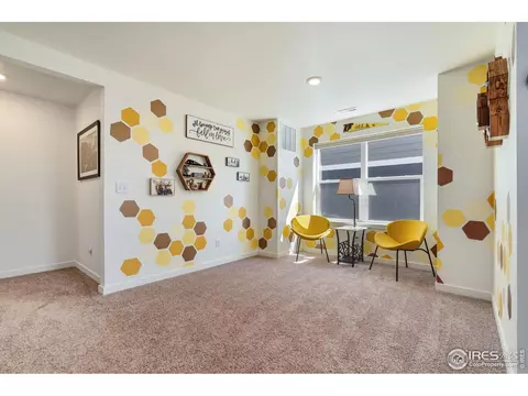 Other - 1233 Lily Mountain Rd, Windsor, CO 80550 photo 4 of 9