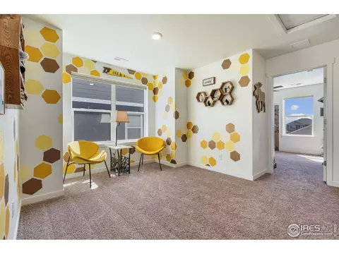 Other - 1233 Lily Mountain Rd, Windsor, CO 80550 photo 5 of 9