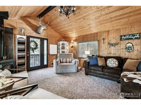 Living - 541 Riverside Dr, Lyons, CO 80540 photo 4 of 6