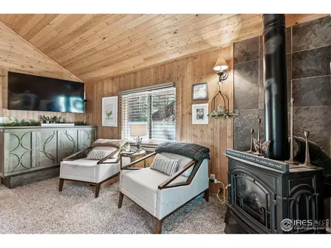 Living - 541 Riverside Dr, Lyons, CO 80540 photo 3 of 6